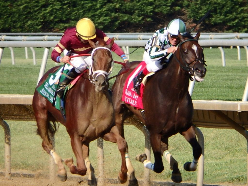 Sheer Drama (outside) outfought Frivolous to win the Delaware Handicap. Photo by The Racing Biz.