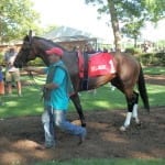 Shore Bets: July 18