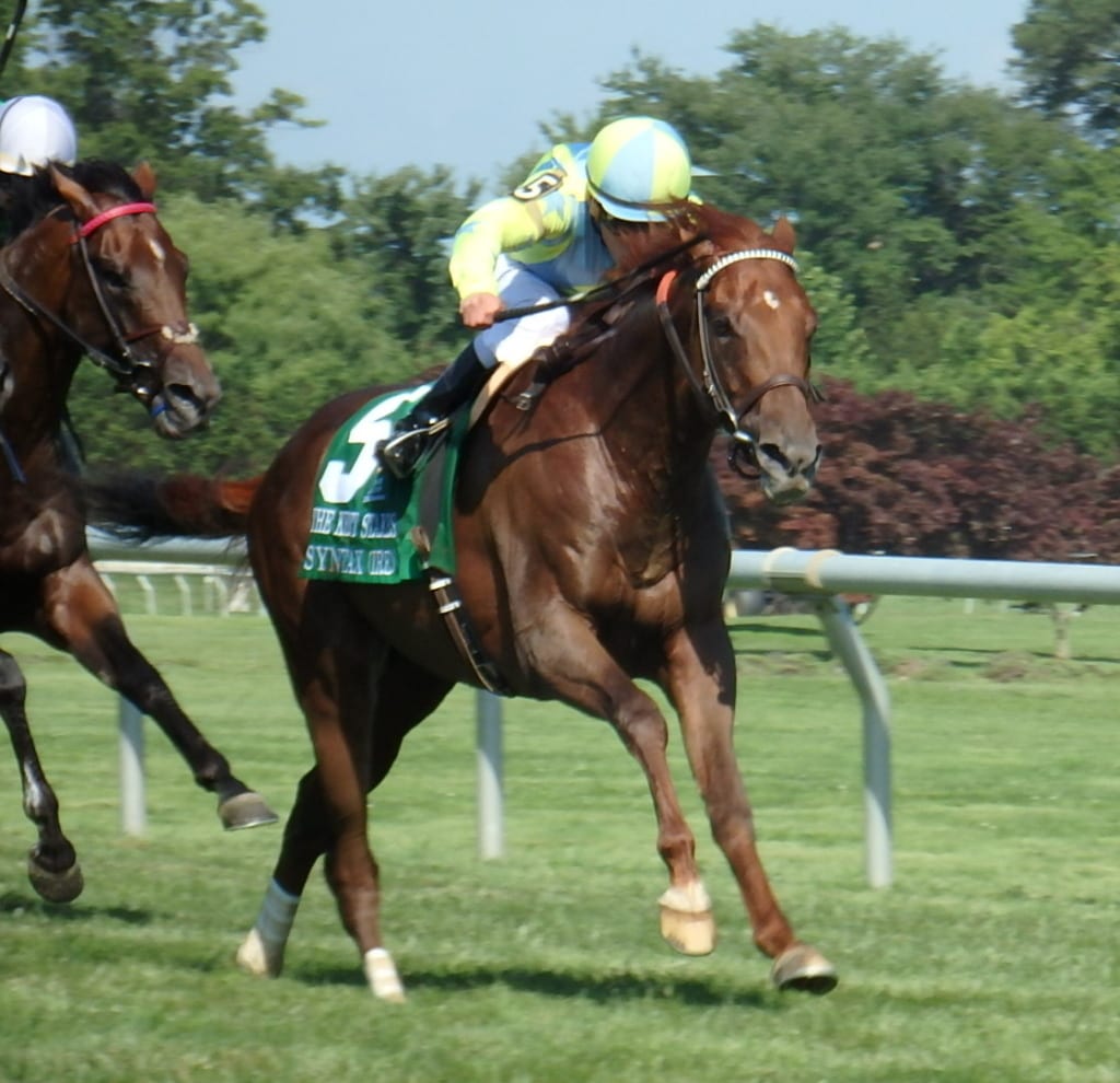 Syntax won the G3 Kent Stakes.