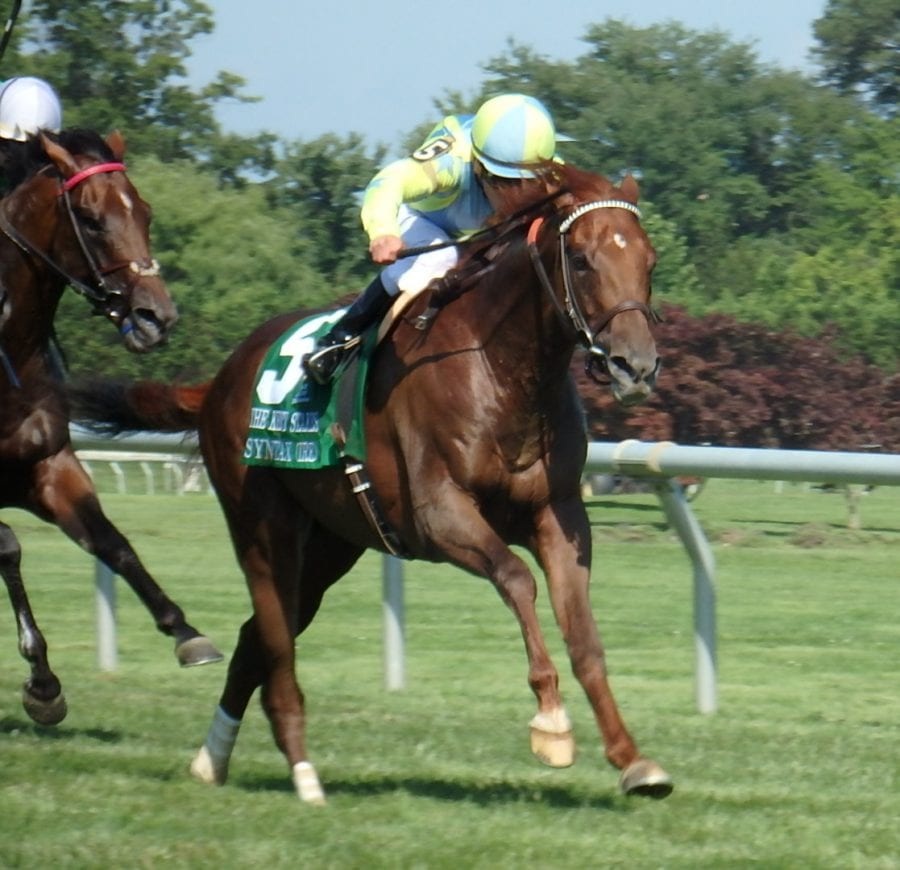 Syntax prevails in G3 Kent Stakes