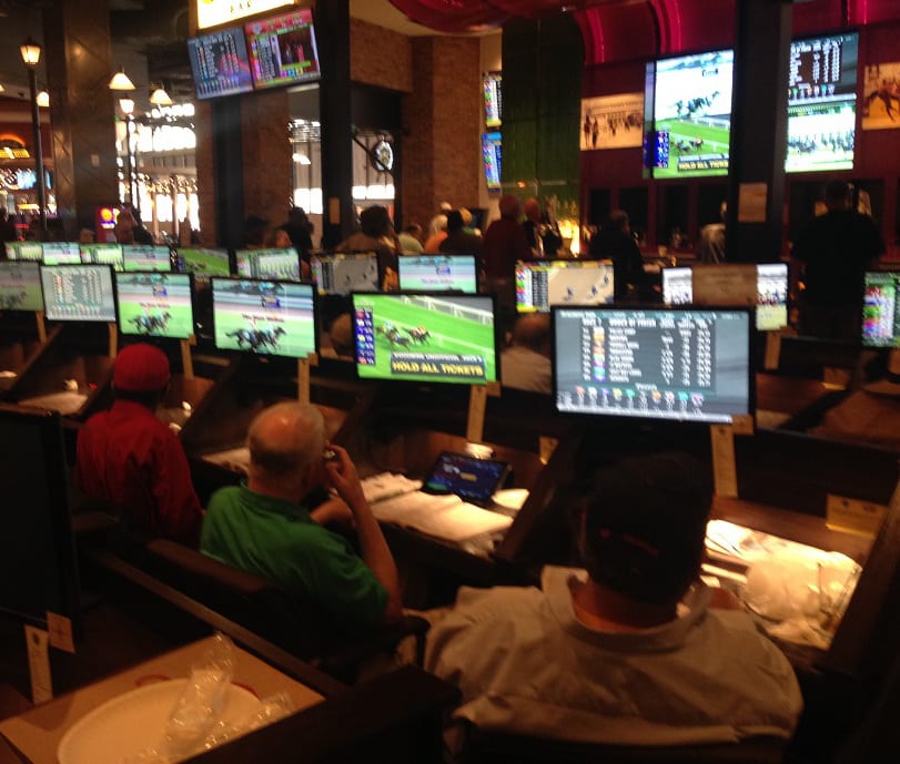 Bettors follow the action from their carrels. Photo by Gary Quill.