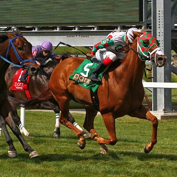 7-11-15 P 08 Tightend Touchdown FIN
