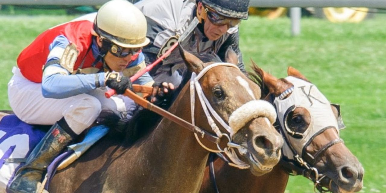 Determination drives apprentice Mario Rodriguez