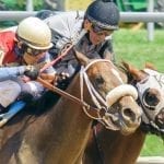 Timonium: Racing Brigadoon set for final weekend