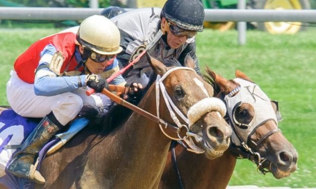 Determination drives apprentice Mario Rodriguez