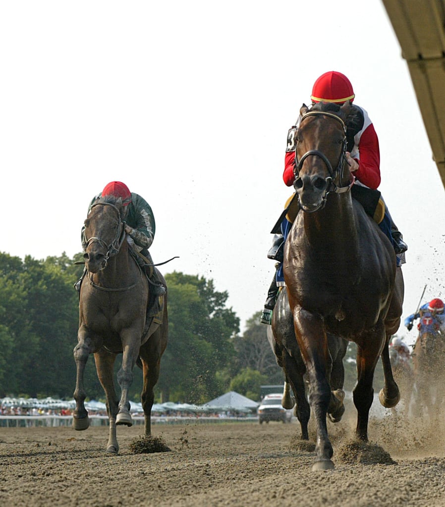 Bradester had all the answers in yesterday's Grade 3 Salvator Mile at Monmouth Park. Photo By Bill Denver/EQUI-PHOTO