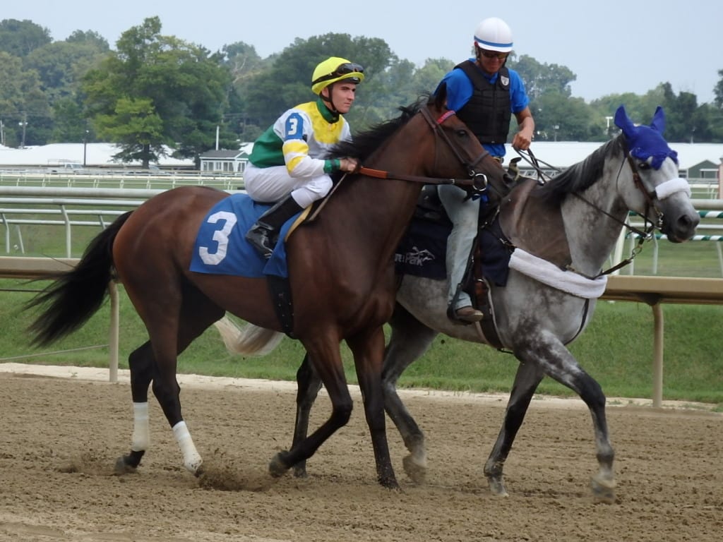 Espresso Time today at Laurel Park. Photo by The Racing Biz.