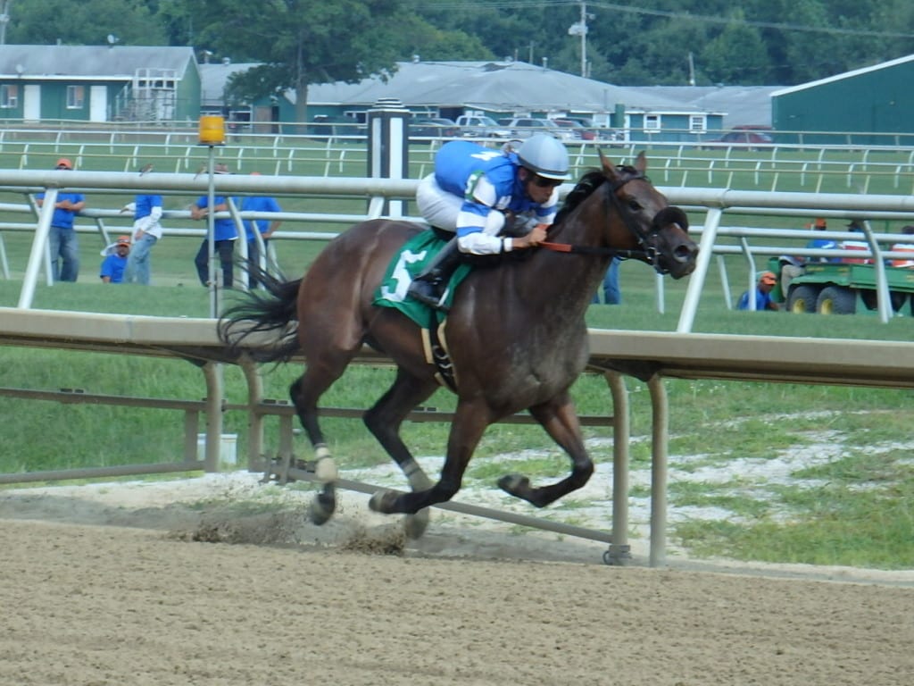 Table Jumper was all by her lonesome in winning the sixth at Laurel. Photo by The Racing Biz.