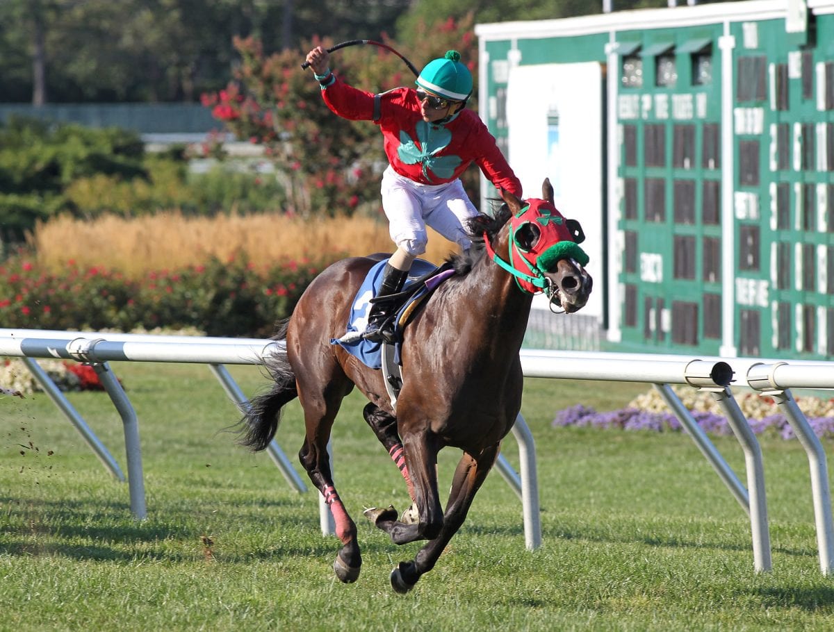 Expected Ruler lights up Tyro toteboard