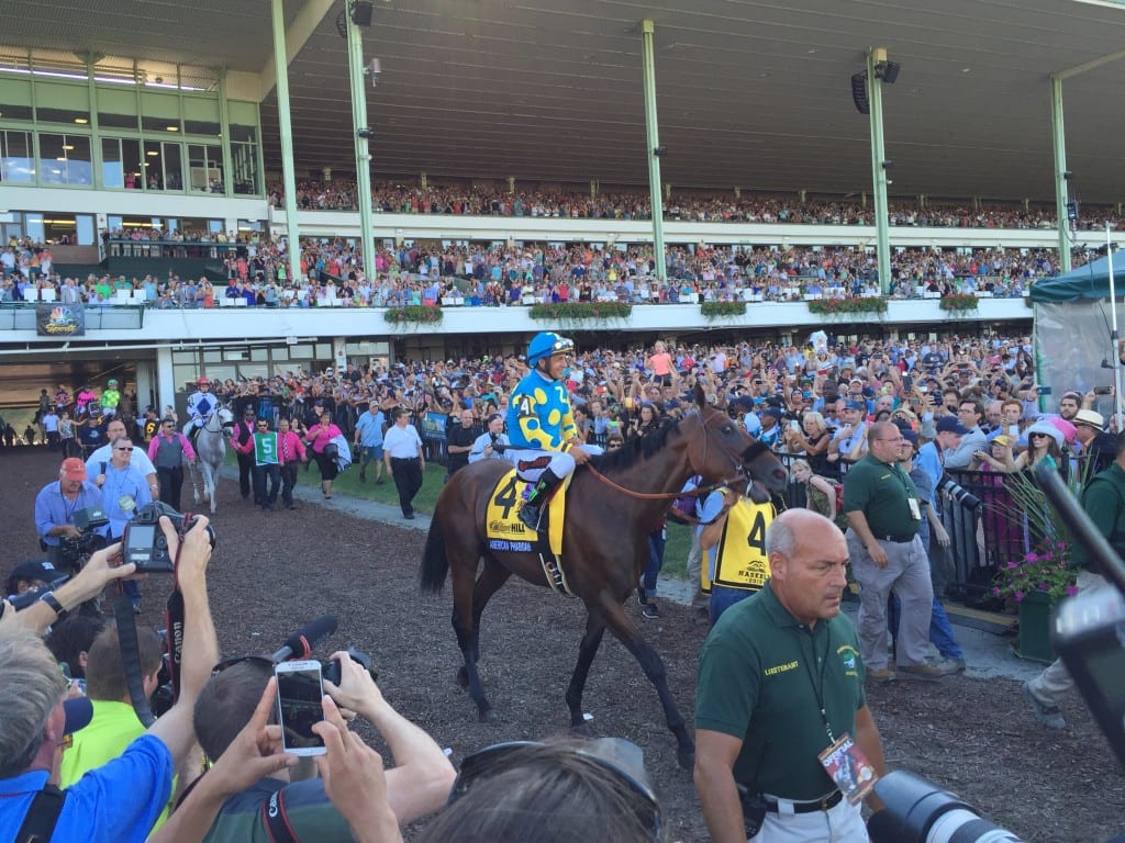 American Pharoah at Monmouth Park.