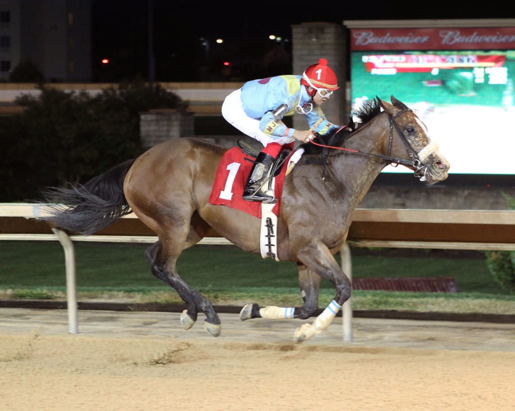 Chrome Mine is one of two fillies that give trainer David Walters a strong hand in the distaff division at Charles Town. Photo by Coady Photography.