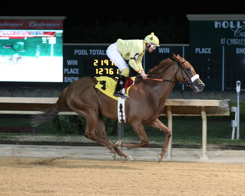 Cuppa Mocha Mojo is undefeated in five career starts. Photo by Coady Photography.