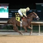 Awesome Slew hopes for Pegasus glory