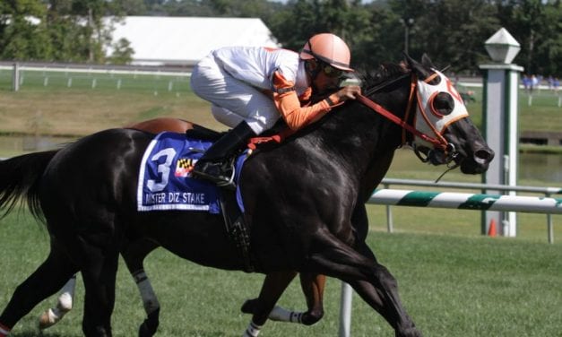 In Focus: Wagering Laurel Park “Class on the Grass” Stakes