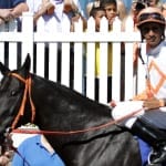 Your guide to the Fasig-Tipton yearling sale