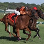 Ruby Notion looms large in Selima