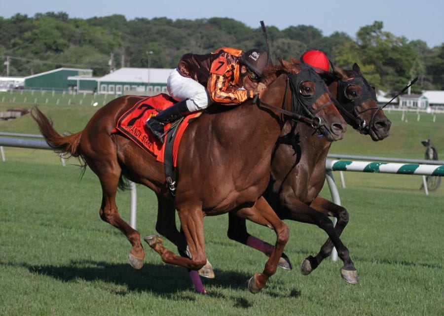 Joy turned the tables on 2014 All Brandy winner Vielsalm to take today's All Brandy. Photo by Laurie Asseo.