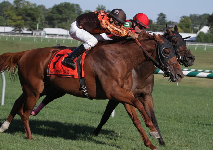 Joy edges Vielsalm in the All Brandy. Photo by Laurie Asseo.