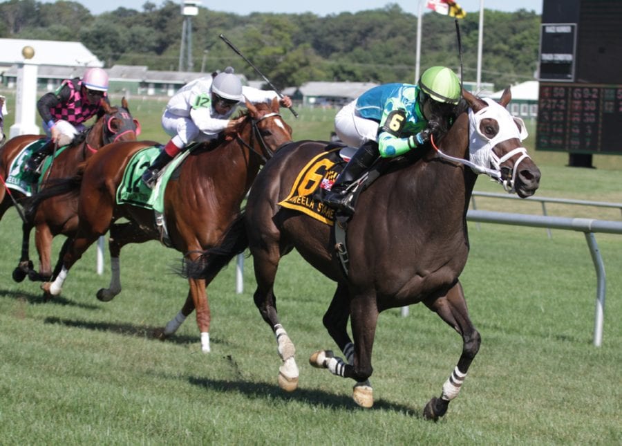 Maryland Pride Day stakes wraps