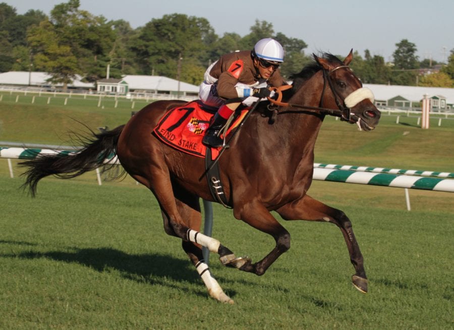 Phlash Phelps held off Eyeplayeveryday to win the Find Stakes. Photo by Laurie Asseo.