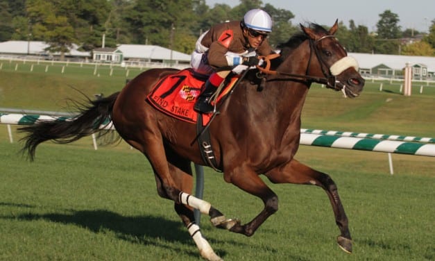 Pimlico’s final day to feature five stakes