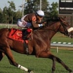 Ben’s Cat takes aim at Million Sprint