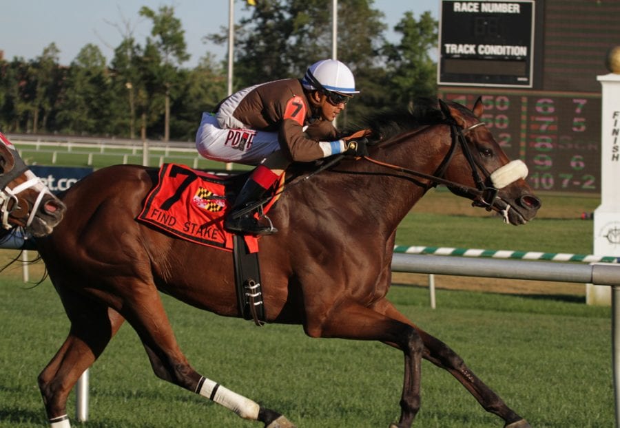 Phlash Phelps wins the Find. Photo by Laurie Asseo.