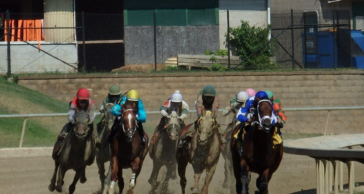 Laurel Park stakes wagering guide released