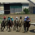 McCraken, Arrogate top NTRA polls