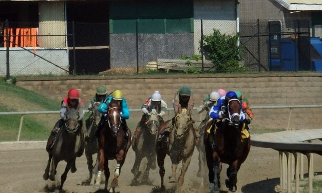 Laurel Park January 2 stakes wagering guide released