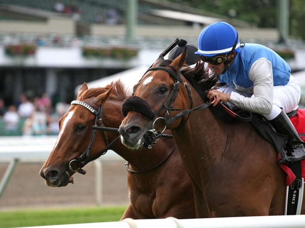 Oak Bluffs (inside) and Ancil (outside) slugged it out to the wire in Monmouth's My Frenchman last month and will face each other again in Saturday's Laurel Dash. Photo By Ryan Denver/EQUI-PHOTO