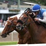 Wagering guide to Laurel Saturday stakes released