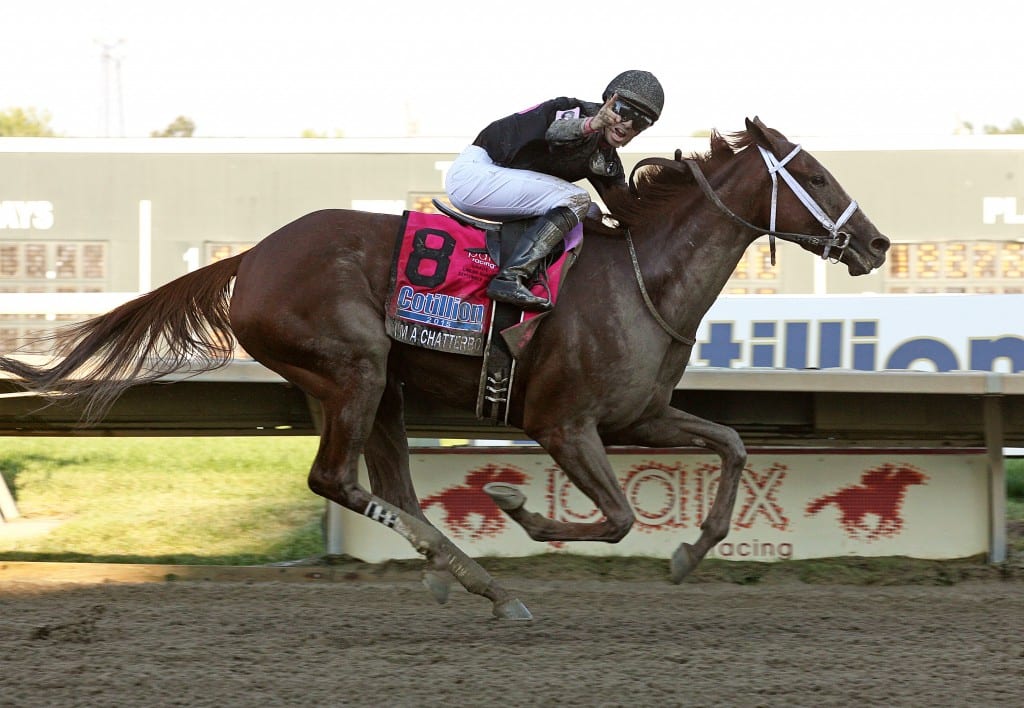 Florent Geroux and I'm a Chatterbox were, in fact, number one following Saturday's $1 million, Grade 1 Cotillion. Photo By Barbara Weidl/EQUI-PHOTO