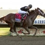 Onus aims to step up to stakes company