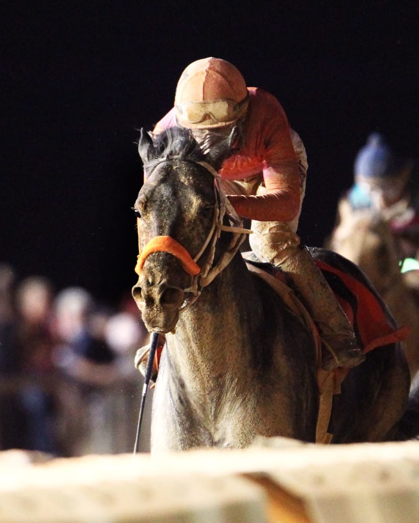 Pants on Fire rallied late to win the Wild and Wonderful Stakes at Charles Town Saturday night. Photo by Coady Photography.