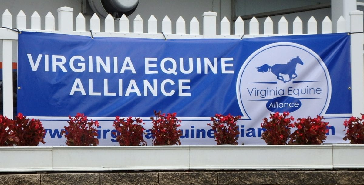 Graded stakes, country racing, and Virginia’s future