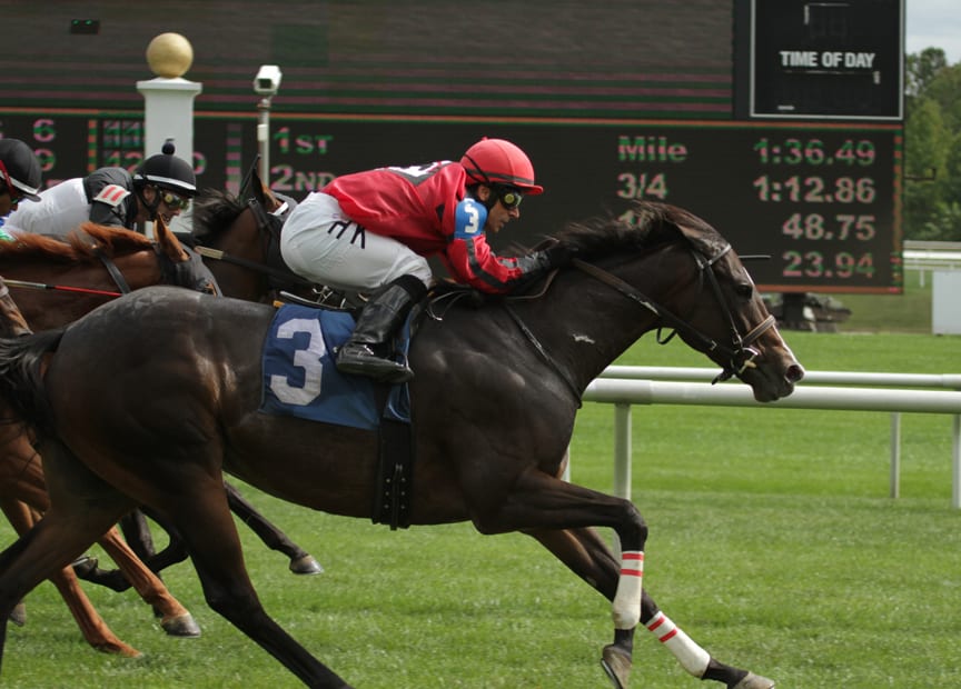 Complete St. burst clear to win the Brookmeade at Laurel Park. Photo by Laurie Asseo.