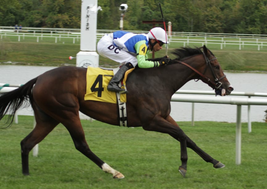 Exaggerated made it look easy in winning the Oakley Stakes by 4 1/2 lengths. Photo by Laurie Asseo.