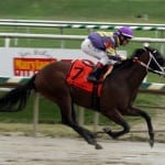 Formal Summation bounces back in Laurel Futurity