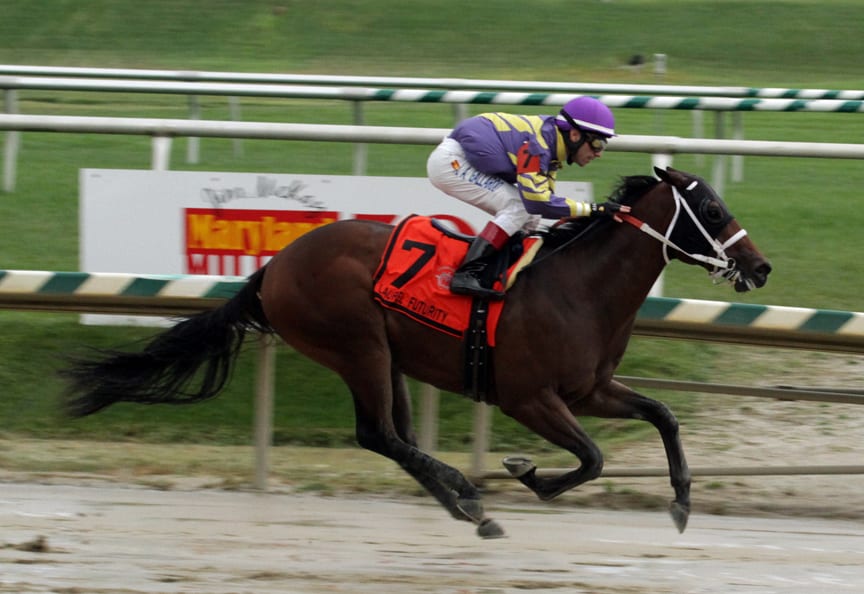 Formal Summation bounces back in Laurel Futurity