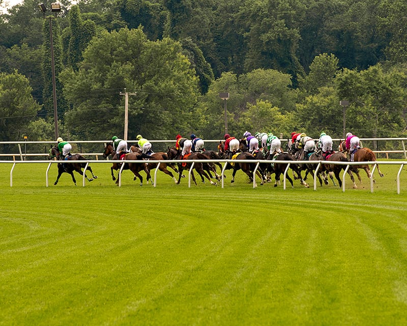 Rounding the turn. Photo by Jim McCue, Maryland Jockey Club.