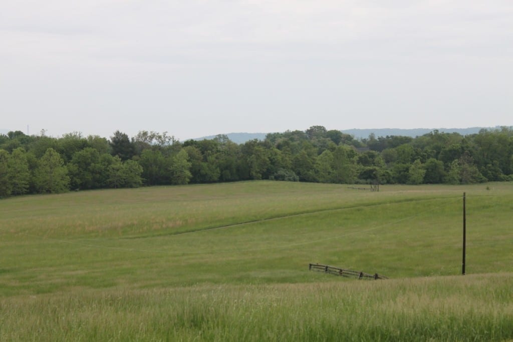 Spectators will watch Morven Park races from a trackside hill. Photo by Nick Hahn.