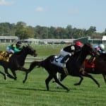Wagering guide to Saturday’s Laurel stakes released