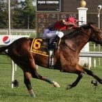 Delaware Park Racing Notebook 2018: Vol. 4