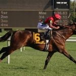 Laurel Park: Alternative jockey rankings through March 28