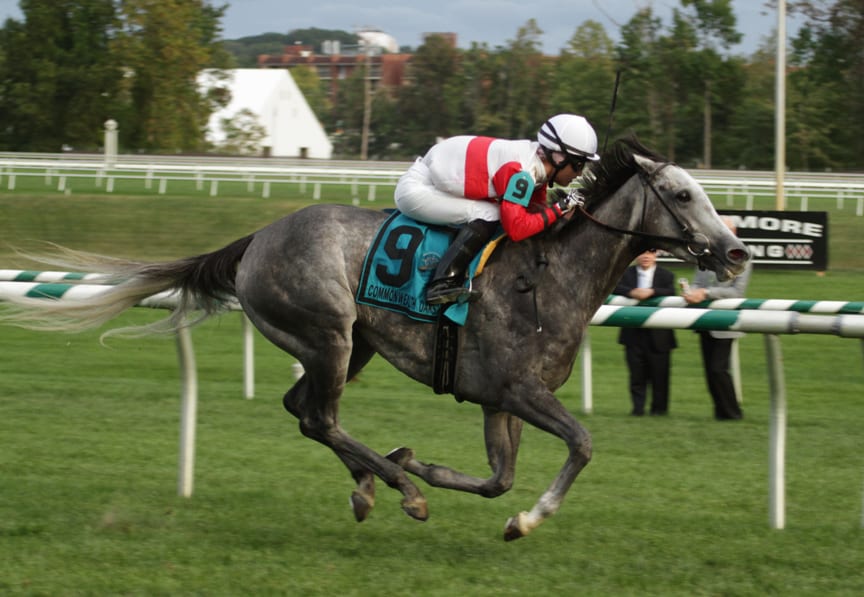 Onus was all by her lonesome in winning the G3 Commonwealth Oaks today at Laurel Park. Photo by Laurie Asseo.