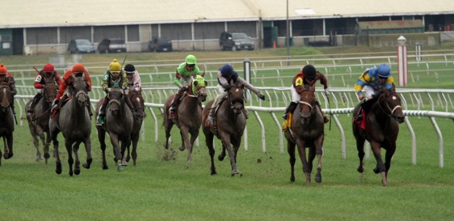 Nick’s Picks for Virginia Downs day