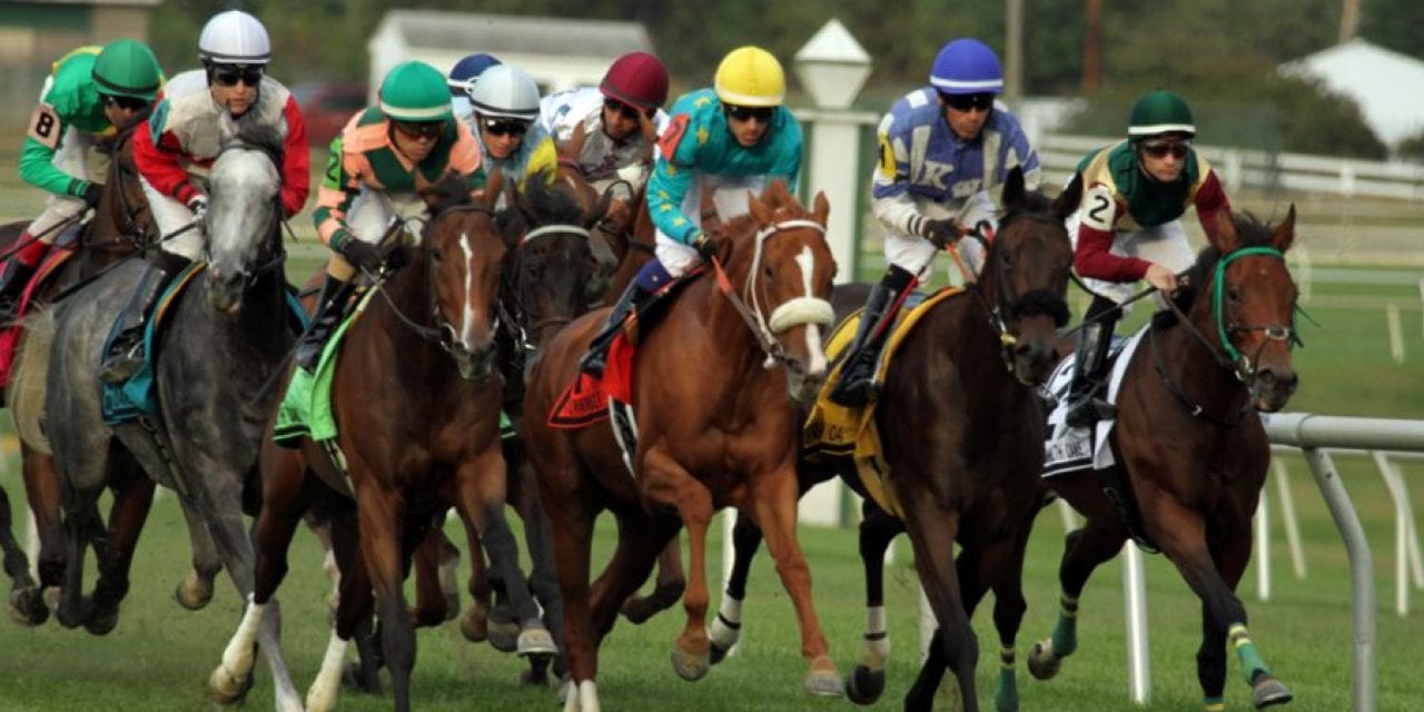 Turf’s up: Laurel Park cards first grass races