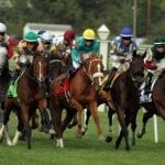 Irish War Cry favored in Fountain of Youth