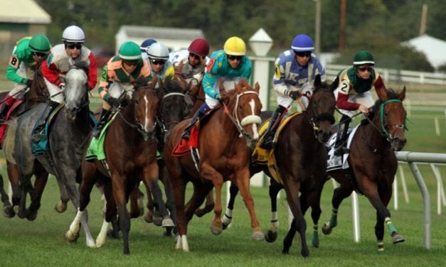 The Racing Biz named among world’s top racing websites